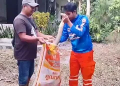 อากาศร้อน ระวัง จงอางยาว 3.60 ม.เลื้อยซุกข้างบ้าน