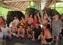 พังงา- “ผู้ประกอบปางช้างและรถตู้รับส่ง นทท.” โอดรวญน้ำมันพุ่ง-ขาดตลาด!! คนแห่เติมน้ำมัน คิวยาวเหยียด หวั่นกระทบบรรยายกาศการท่องเที่ยว