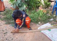 จงอางสีทองตัวใหญ่ เข้าบ้าน เชื่อมาให้โชค