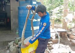 สงขลา-เจ้าบ้านเสียบสายชาร์จโทรศัพท์ ผวา จงอางชูคอขู่บนคานหลังคาห้องน้ำ