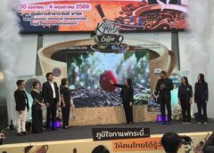 พาณิชย์จังหวัดกระบี่ จัดงาน “กาแฟกระบี่ เสน่ห์ของดี วิถีถิ่น Krabi Coffee and Local Charm 2026”