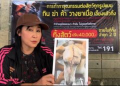 สงขลา-เดอะโฮปสงขลา ขอบพระคุณพลังธารน้ำใจช่วย “น้องเมโล” พร้อมอัปเดตอาการล่าสุดหลังผ่าตัด