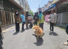 สงขลา-ช่วยชีวิต “น้องโพลี” ไซบีเรียนถูกปล่อยทิ้งในบ้านนาน 3 เดือน ‘เดอะโฮปสงขลา’ รุดเข้าช่วย ประกาศหาบ้านใหม่