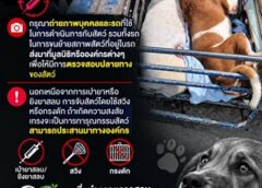 พบนกต่อ-แก๊งเป่ายาสลบจับสัตว์ปริศนา! The Hope สงขลา วอนประชาชนช่วยถ่ายภาพแจ้งเบาะแส เร่งตรวจสอบความปลอดภัย 4 ขา