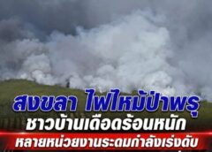 สงขลา-ไฟไหม้ป่าพรุ ชาวบ้านเดือดร้อนหนัก หลายหน่วยงานระดมกำลังเร่งดับ แต่แรงลมยังพัดโหมไฟลามต่อเนื่อง เสียหายกว่า 300 ไร่