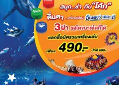 ปทุมธานี สวนสนุกดรีมเวิลด์ชวนเที่ยวปิดเทอม ตื่นตา “อันเดอร์เดอะซี” โลกใต้ทะเลเสมือนจริง จัดโปรบัตรรวมเครื่องเล่นเหลือ 490 บาท