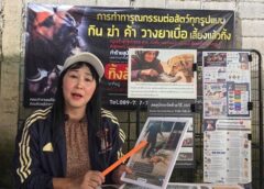 นราธิวาส-องค์กรจัดสวัสดิภาพสัตว์เดอะโฮปสงขลา จี้ ผู้ว่าฯ นราธิวาส ตรวจสอบเทศบาลตำบลรือเสาะ ร่วมมือปศุสัตว์ กวาดต้อนจับสุนัขจรจัด ไร้ศูนย์พักพิงมาตรฐาน หวั่นซ้ำรอยทารุณกรรมสัตว์