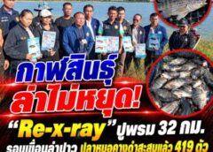 กาฬสินธุ์-ล่าไม่หยุด! “Re-x-ray” ปูพรม 32 กม. รอบเขื่อนลำปาว ปลาหมอคางดำสะสมแล้ว 419 ตัว ชาวบ้านผวา “เจอ แจ้ง จับ” ไม่พอ ขอมาตรการเด็ดขาด